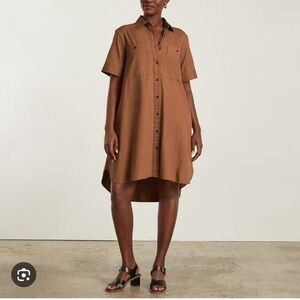 Everlane Daytripper Shirt Dress